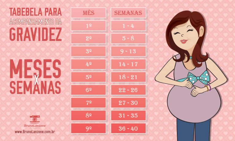 Tabela Para Acompanhamento Da Gravidez Meses X Semanas Bruno Lanzone Fotógrafo Infantil E 